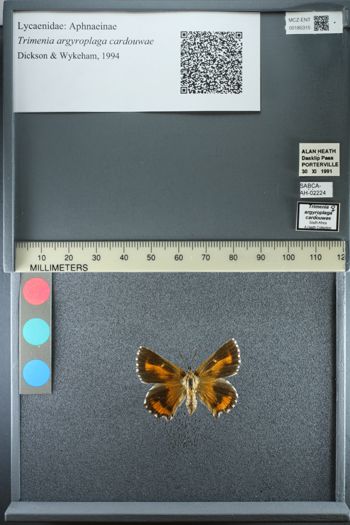Media type: image;   Entomology 185315